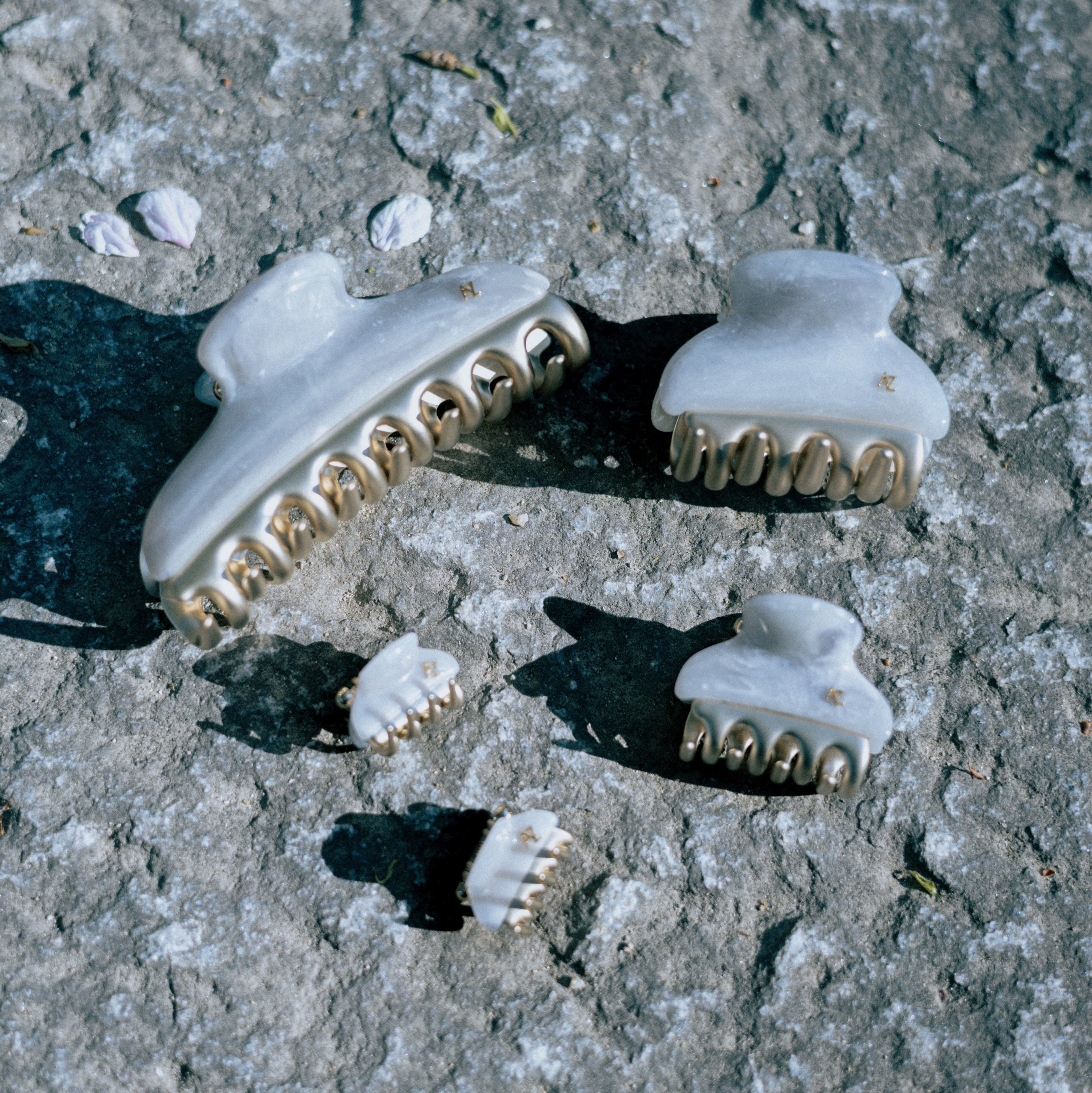 Medium size gold teeth crazy crab – Alexandre Zouari